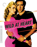 Wild at Heart (The Criterion Collection) [4K UHD]